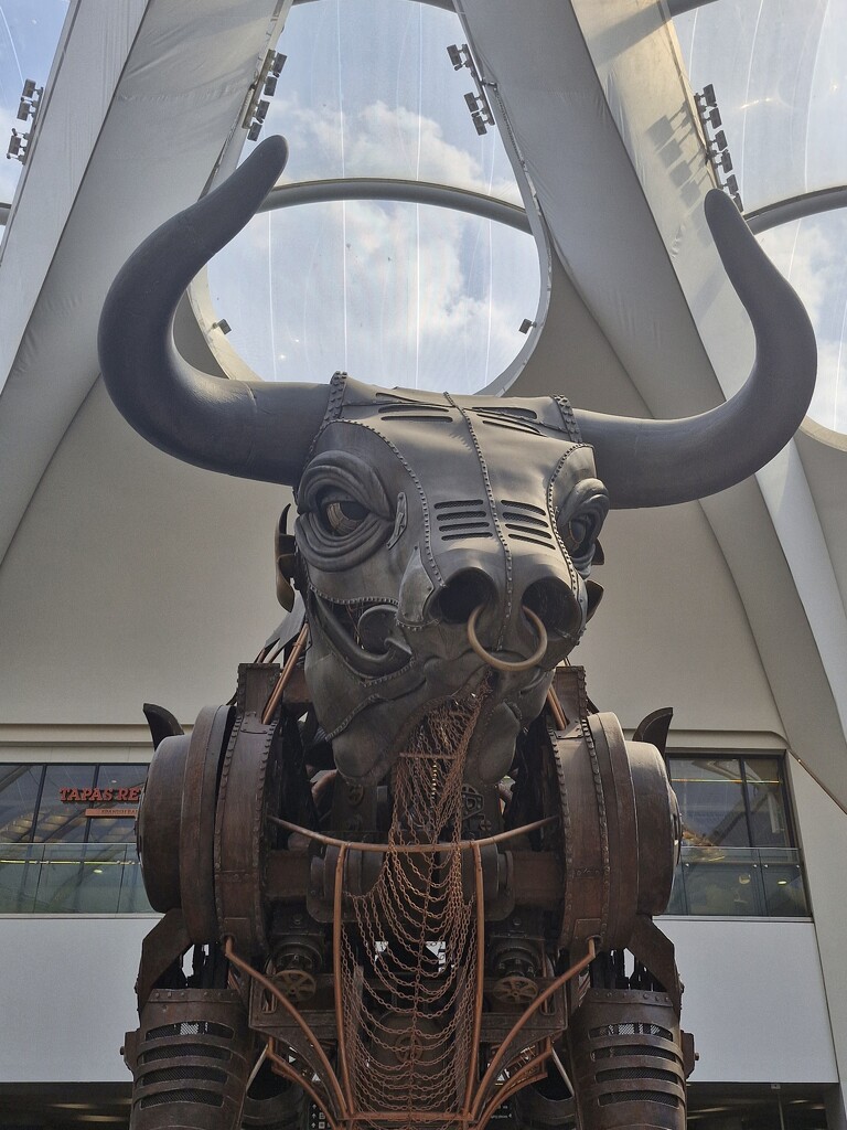 Ozzy the Bull by dragey74