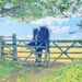 Horses 