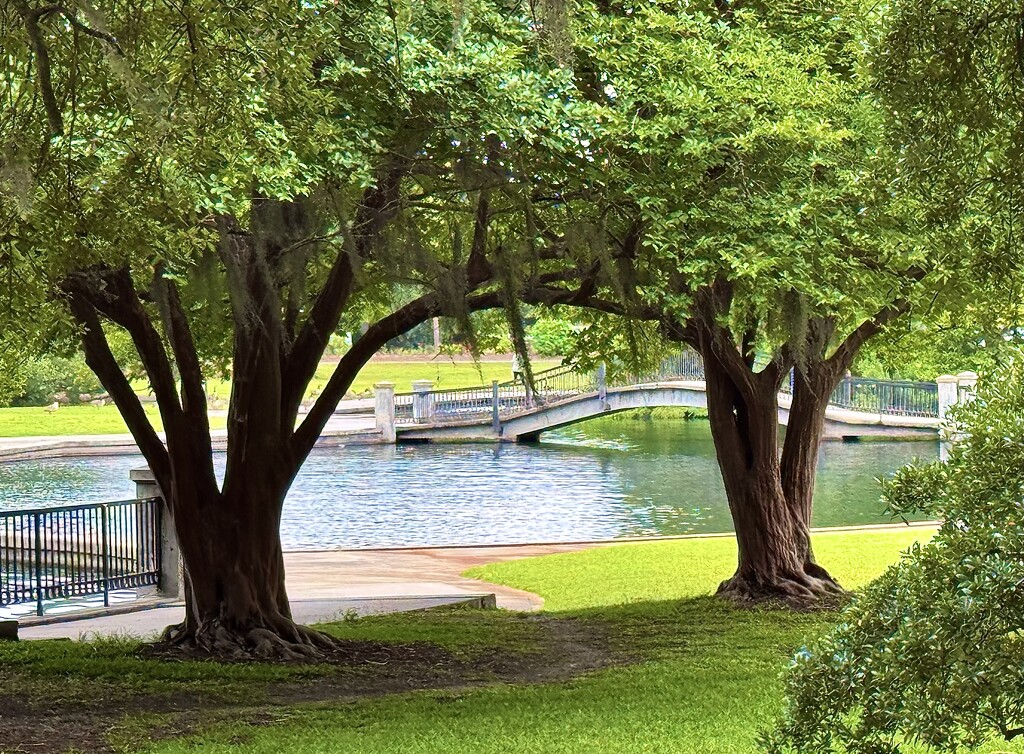 Hampton Park by congaree