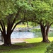 Hampton Park
