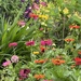 Hampton Park Gardens