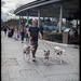 See Spots Walking 