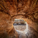 Hollow tree trunk