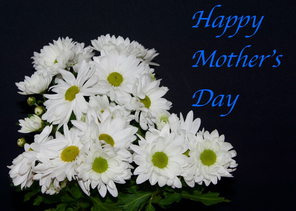 Happy Mother's Day DSC_8460 by merrelyn