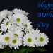 Happy Mother's Day DSC_8460