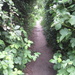 Secret pathway