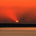 Glimpse by kareenking