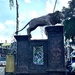Lion. 