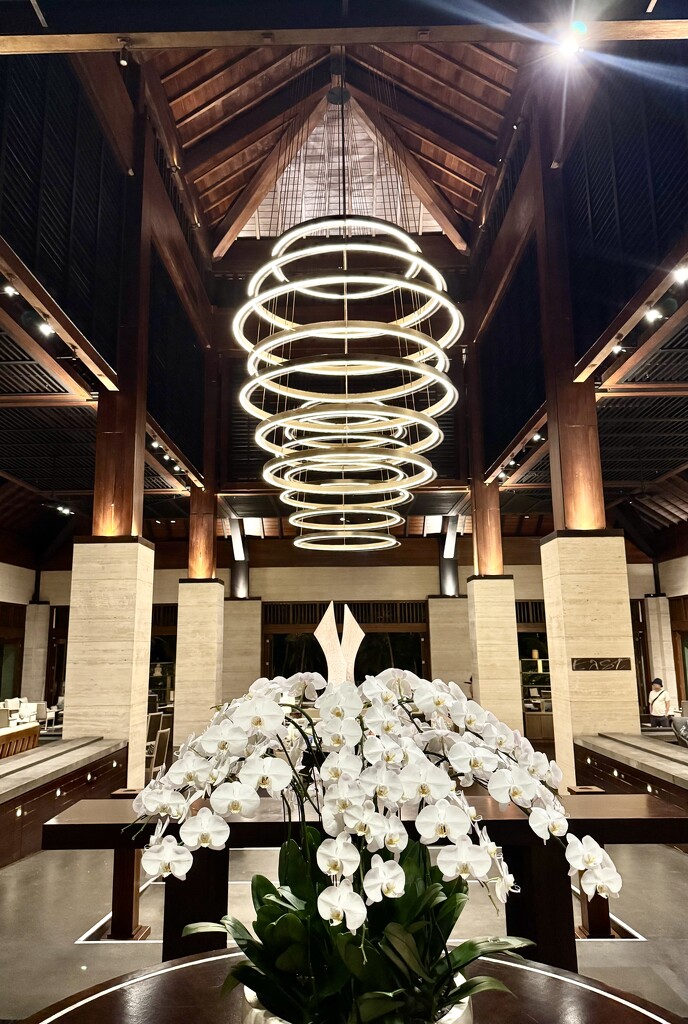Conrad hotel.  by cocobella