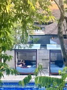 4th May 2025 - Alix by the pool. 