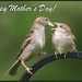 Happy Mother's Day!