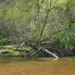 Along the Stream . . .
