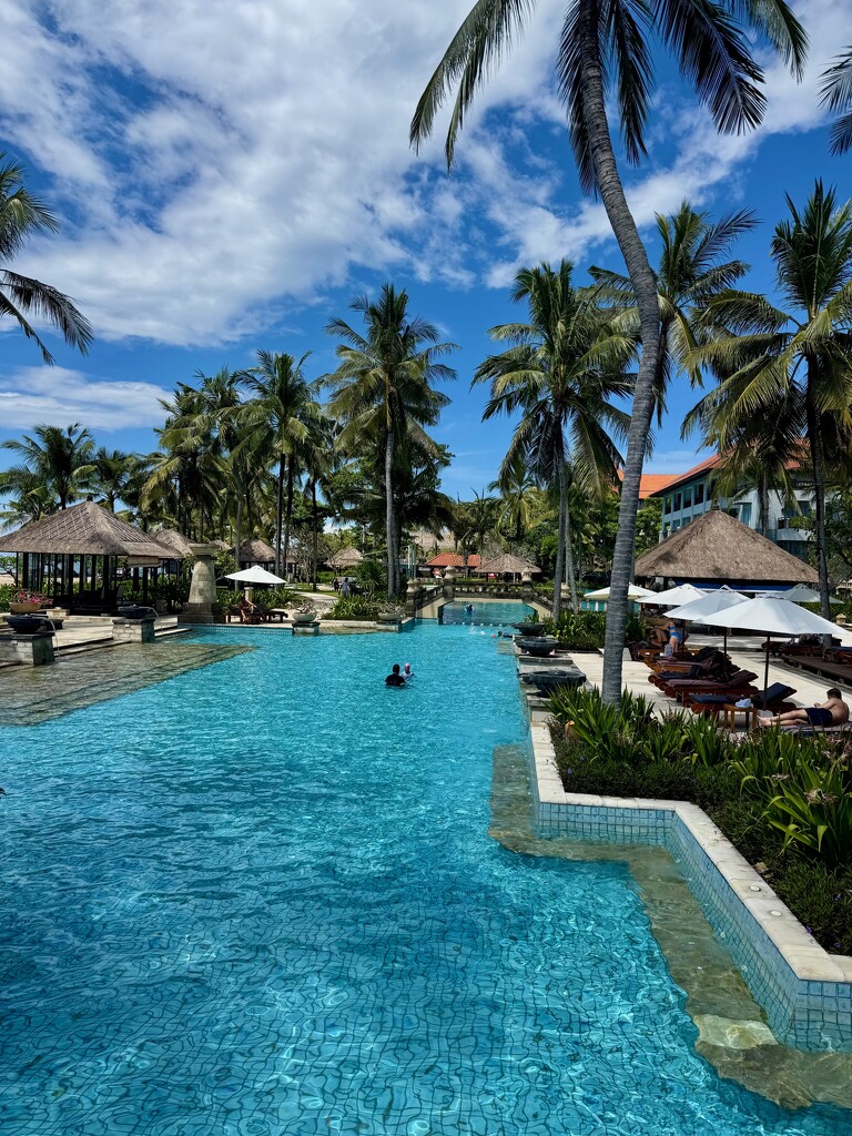 Pool.  by cocobella