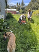 11th May 2025 - Bogged down