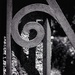 5/9/25 (Corinthian)