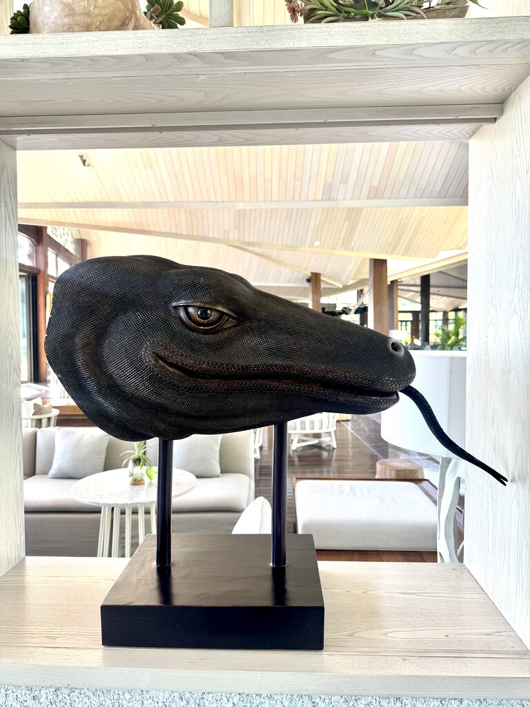 Komodo dragon.  by cocobella