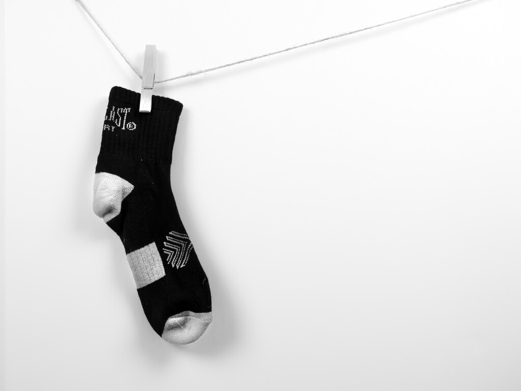 the sock... by northy