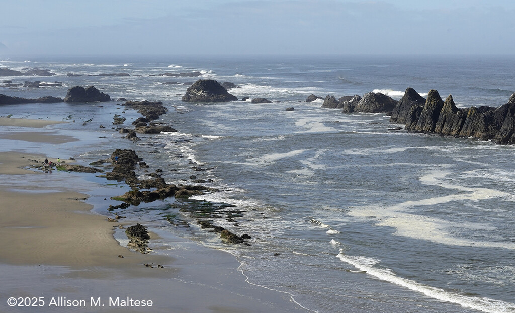 Seal Rock Beach by falcon11