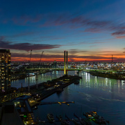 12th May 2025 - The Blues