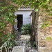 A morning wander and discovering more secret corners… 