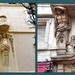 HOUSE FRONTS