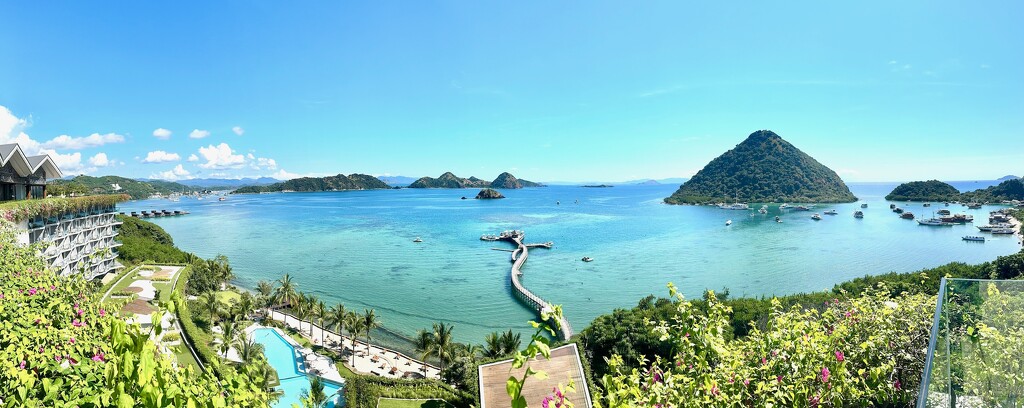 From Flores.  by cocobella