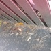 IMG_20250509_091439~2