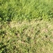 IMG_20250509_091249~2