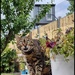 Jump