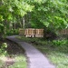 Bridge into the Woods