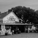 Seafood Market