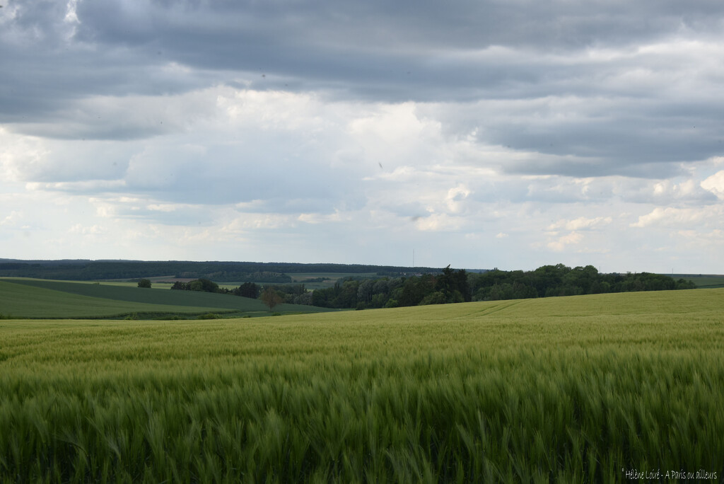 landscape by parisouailleurs