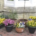 Colourful display