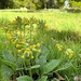 Spring has well and truly sprung! 