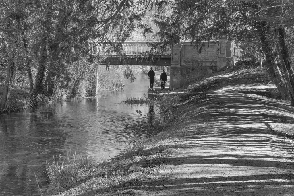 Sunlight and shadows on the towpath by dulciknit