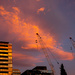 Craning for the sun