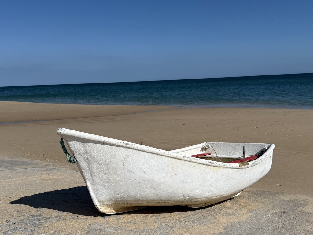Beach Heaven  by cmf