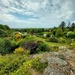 Glenwhan Gardens 