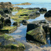 Northumberland coast by neil_ge