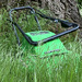 No Mow May