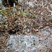 Gully Washer
