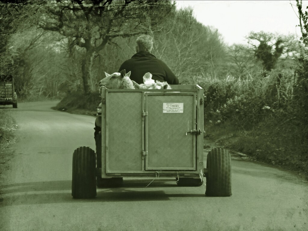Transporter by ajisaac