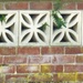 My neighbour's garden wall.  by beryl