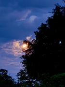 12th May 2025 - A hidden moon 