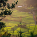 Shining the light on farming