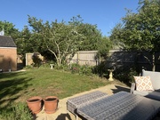 12th May 2025 - Garden