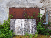 13th May 2025 - The abandoned pump house in my garden