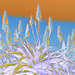  Aloes Solarised   by ludwigsdiana