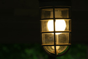 12th May 2025 - Alight