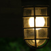 Alight by lsquared